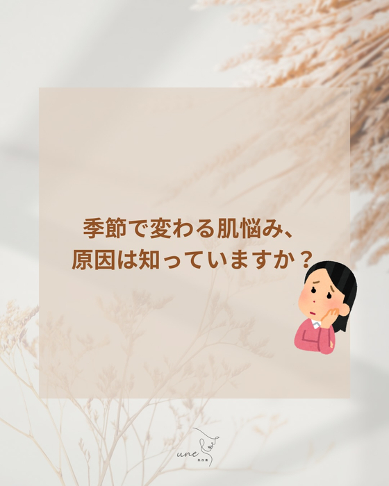 画像330