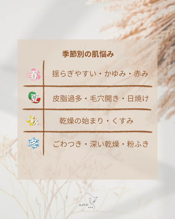 画像331