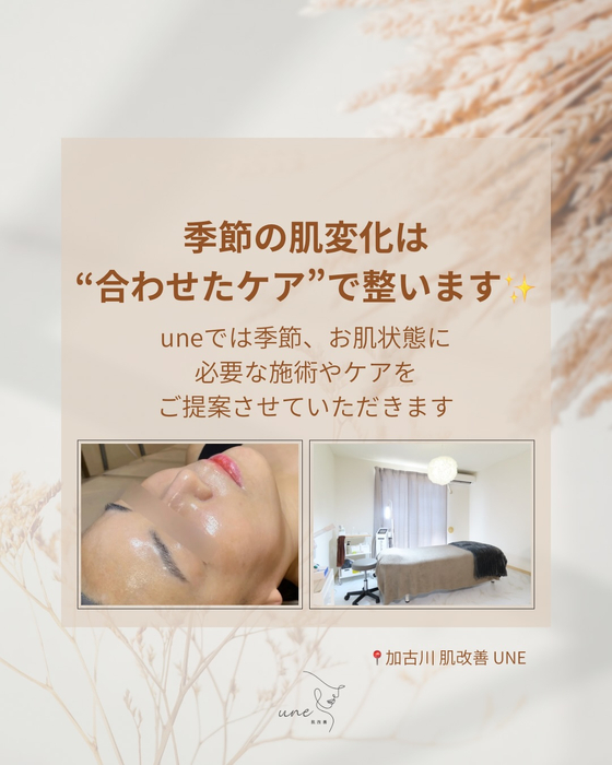 画像334