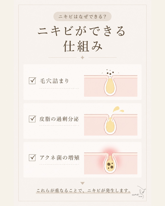 画像541