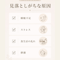 画像542