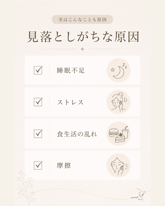 画像542