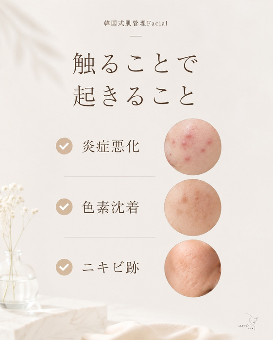 画像548